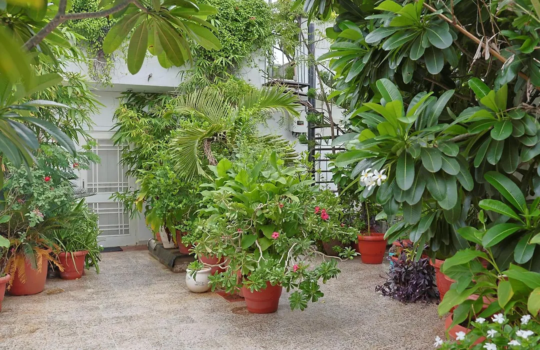 Shanti Niwas-1
